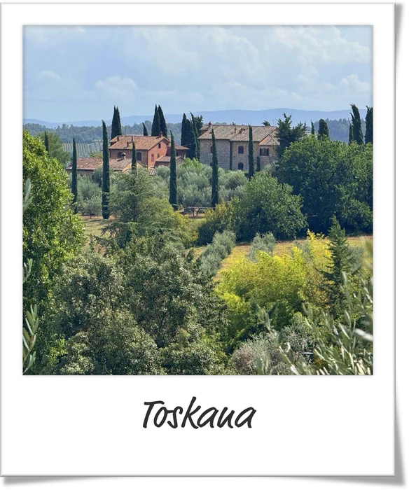 Polaroid: Toskana
